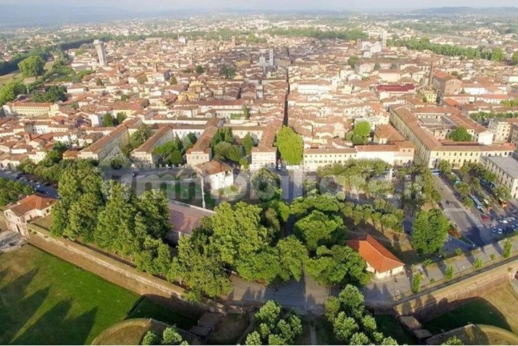 Apartament 50 Metri Duomo Di Lucca Self Check-In E Wi-Fi Zewnętrze zdjęcie
